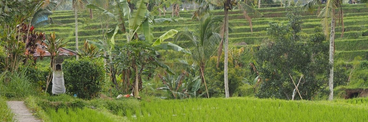 Voyagez Malin : Guide pour une Visite à Guntur